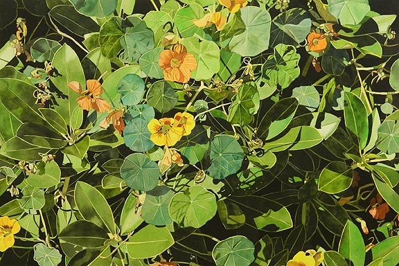 Deborah Rubin: Florals