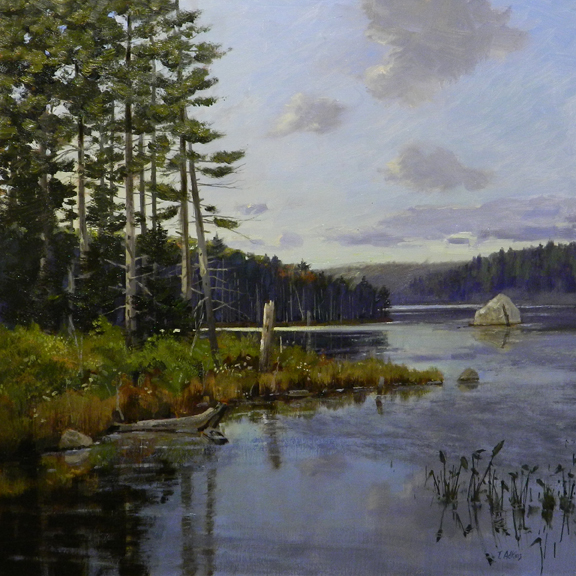 Salt Water Marsh, Georgetown Island