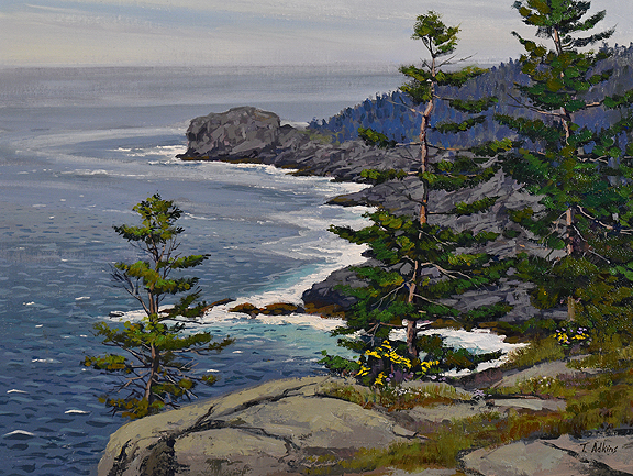 Monhegan Pines