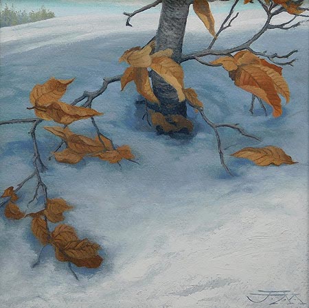 Winter Beech study