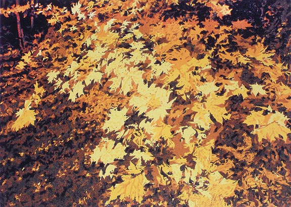 Equinox