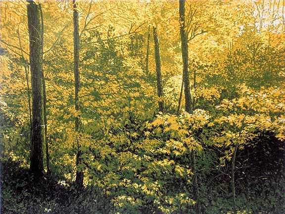Abundant Earth