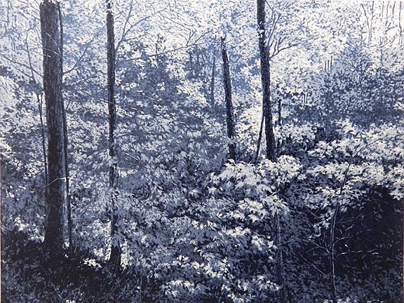 Forest in Moonlight