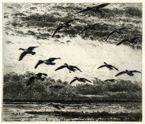 Coming Home to Roost 17/100