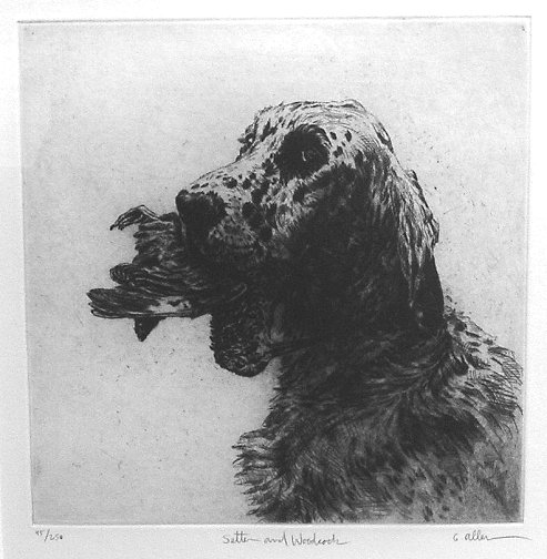 Setter and Woodcock 129/150