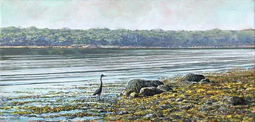 Quiet Cove