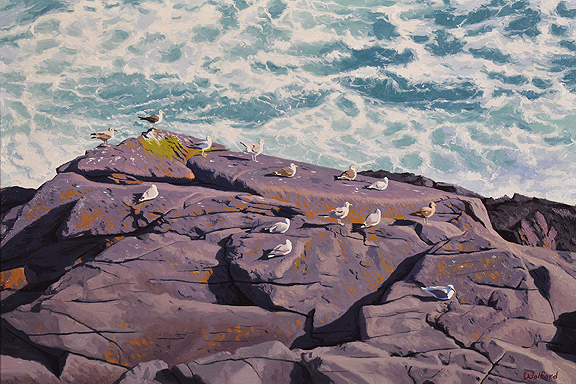 Gulls on a Ledge