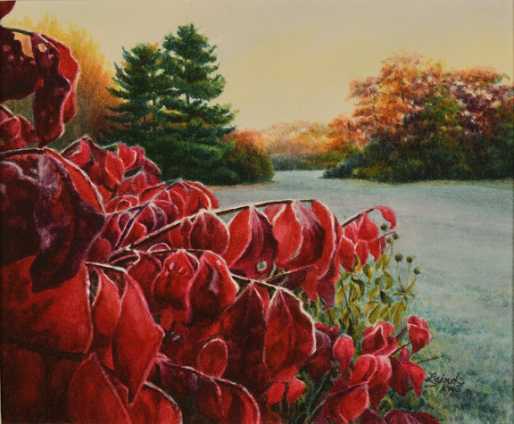Frost on the Firebush