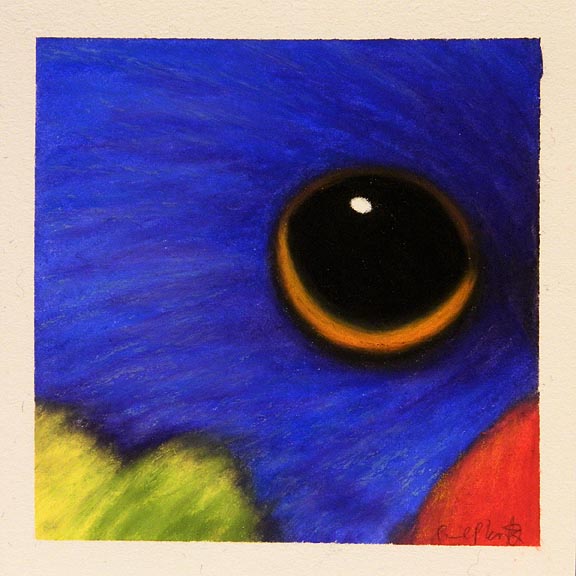 Bird: Painted Bunting 9.17.00