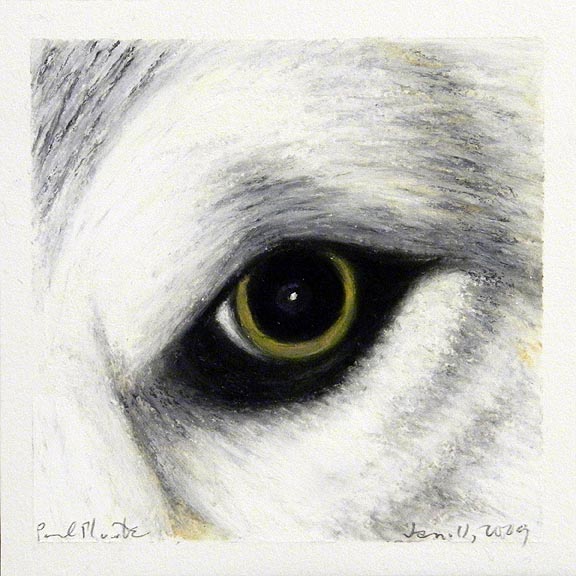 Mammal: Torey I 1.11.09
